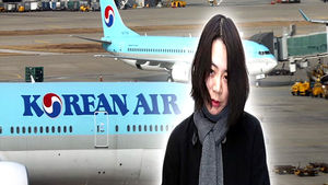 [취재파일] 판결문에 드러난 '땅콩 회항'의 실체