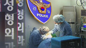'탈세&middot;불법시술' 강남 대형 성형병원 압수수색