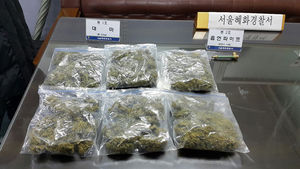 [현장 포토] 배낭여행서 구한 대마 500명분 밀반입한 30대 구속