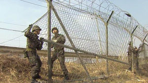 [수도권] 군, 한강하구 철책 제거 '속도'