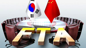 한중 FTA 가서명 남은 절차와 다음 FTA는?