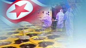 "북한, 사실상 핵보유국&hellip;미국 '제한적 전쟁' 대비해야"