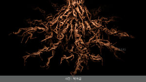 [취재파일] 사진작가가 된 발레리노, BAKI 박귀섭
