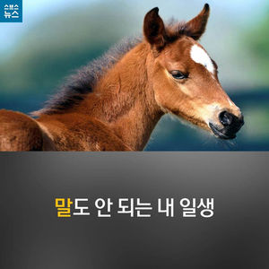 [카드뉴스] 말도 안 되는 내 일생