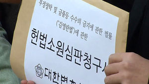 '김영란법' 시행도 하기 전에 헌법소원 청구
