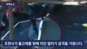 [자막뉴스] '돌고래 학대'하던 조련사, 차 안에서 숨진 채 발견