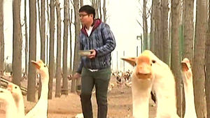 [월드리포트] 농업에 뛰어든 中 유학생들&hellip;색다른 창업