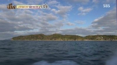 스브스 고양이섬