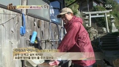 스브스 고양이섬