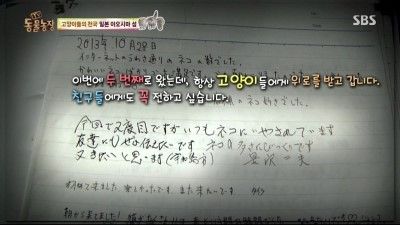 스브스 고양이섬