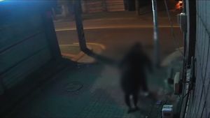 [생생영상] 골목길서 갑자기 달려든 남성&hellip;'위험한 귀갓길'