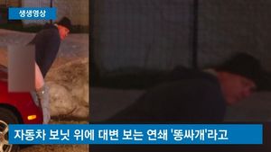 [생생영상] 곳곳 누비며 차 위에 '대변'&hellip;황당한 공개수배