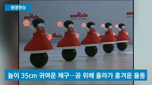 [생생영상] 로봇 치어리더들의 '칼 군무' 장관