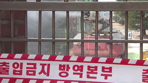 서울대 축사 구제역 뚫렸다&hellip;방역당국 곤혹