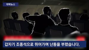 [자막뉴스] '지하드' 외치며 조종석 돌진&hellip;美 여객기 회항 '아찔'