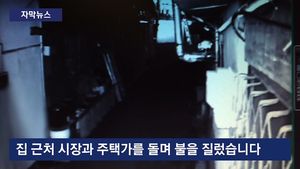 [자막뉴스] "직업도 없고 결혼도 어려워" 분풀이로 연쇄 방화
