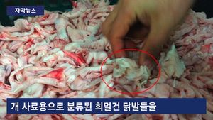 [자막뉴스] 개 사료용를 식품으로&hellip;'불량 닭발' 덜미