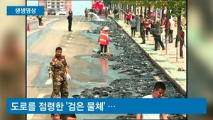 [생생영상] 도로 점령한 메기 수천 마리&hellip;중장비 동원해 '구조작전'
