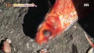 머리 잘려나간 채 죽은 600마리 잉어&hellip;주민 '피눈물'