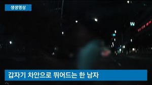 [생생영상] "간호 받고 싶어서&hellip;" 차로 뛰어든 男 황당 변명