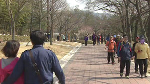 [대구] 경주 보문단지 벚꽃놀이 손님 맞이 분주