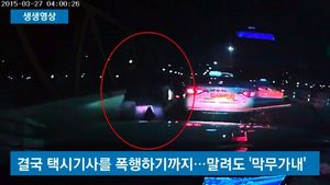 [생생영상] 택시기사 폭행한 '만취' 20대, 도주하다 5중 추돌사고