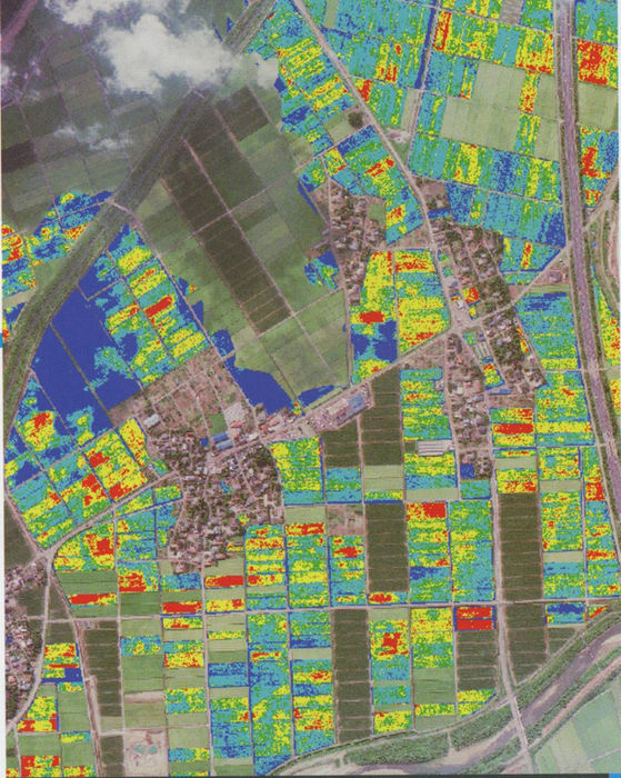 최호원 취파_640