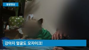 [생생영상] 강아지한테도 초상권?&hellip;웃지 못할 '개자이크'