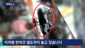 [자막뉴스] 예쁘다며 '슬쩍'&hellip;반려견 인기에 절도까지 급증
