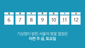 주말 서울 벚꽃 절정&hellip;진짜 명소 'TOP 10'