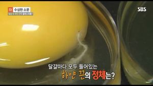 달걀 속 하얀 '알끈'의 성분은 무엇일까요?