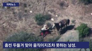 [자막뉴스] 美 경찰, 투항한 용의자 집단폭행&hellip;도를 넘은 폭력