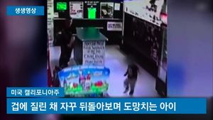 [생생영상] 성인 남성 주먹질에 쓰러진 아이&hellip;가해자 '반전'