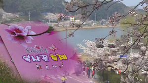 영동 저온 현상에 겨우 꽃망울만&hellip;'봄축제' 비상