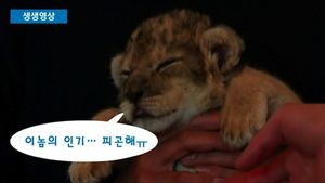 [생생영상] 제 이름 궁금하시죠? 다녀와서 알려드릴게요