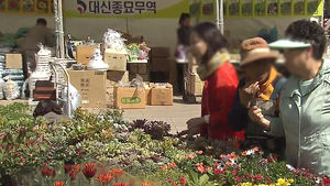 [수도권] 서울광장에 화훼 직거래 장터&hellip;최대 20% 저렴