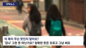 [자막뉴스] "짜증 나 죽겠어. XX"&hellip;'욕'도 뜻 알면 덜 한다