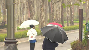 전국 단비 촉촉&hellip;화요일 기온 쑥 '봄다운 봄'