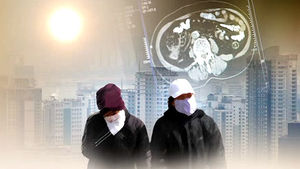 뇌까지 영향 미치는 미세먼지&hellip;연구결과 입증