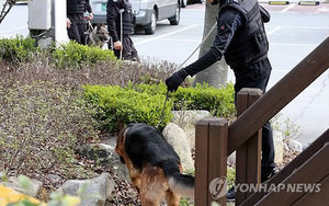 충성 다한 '군견' 31마리 반려견으로 새 삶 찾아
