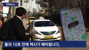[자막뉴스] '버튼만 누르면 끝'&hellip;한강 한복판서 택시 잡기