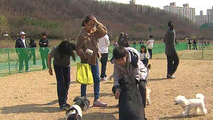 월드컵공원 '반려동물 한마당' 축제 열려