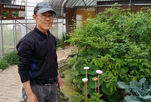 "초여름 밤하늘 수놓겠네"&hellip;괴산서 반딧불이 1만 마리 방사