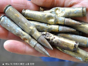 "잡동사니 즐기는 미국 개"&hellip;이번엔 총알 23정 '꿀꺽'