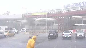 제주, 밤새 강풍 동반 폭우&hellip;항공기 결항&middot;피해 잇따라