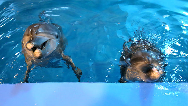 [핫포토] 방류되는