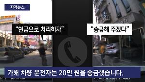 [자막뉴스] "긁힌 내 차 수리비 줘"&hellip;'차주 둔갑' 목격자 뻔뻔한 사기