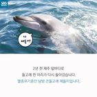 섬네일이미지  2: