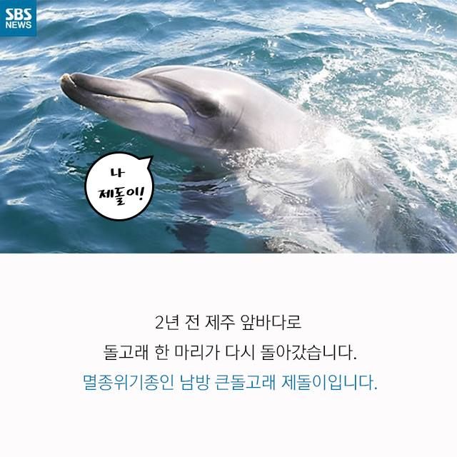 메인이미지  2 : 