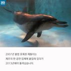 섬네일이미지  3: